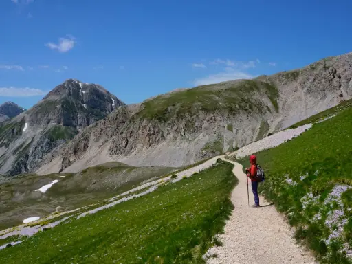Escursionista sul cammino del Gran Sasso, tra prati verdi e fiori viola, con imponenti montagne sullo sfondo.