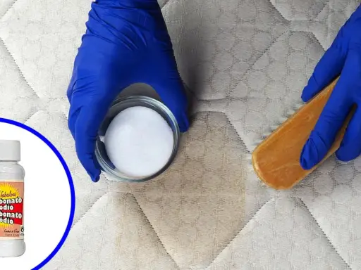 Manos enguantadas aplican percarbonato de sodio con cepillo a un colchón manchado. El perborato para que sirve: limpieza profunda.