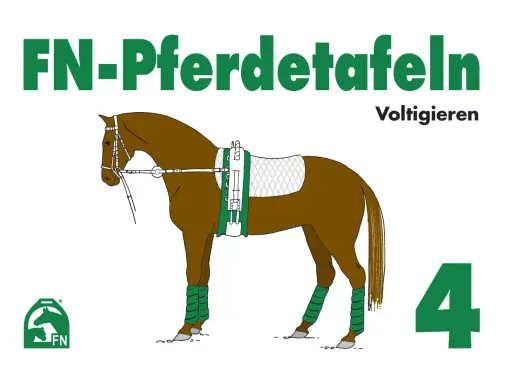 Braunes Pferd mit Voltigiergurt und Bandagen, bereit für Voltigieren Figuren. FN-Pferdetafeln 4.