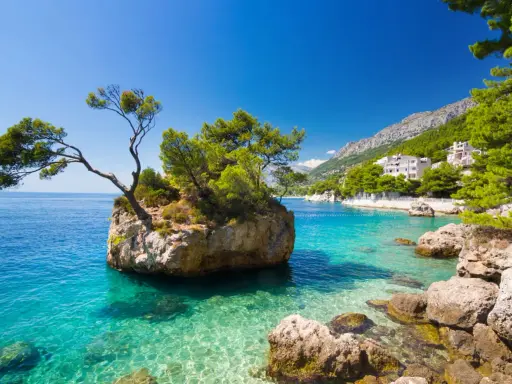 Skalista wysepka z drzewem na tle turkusowego morza i górskich plaż Chorwacji.