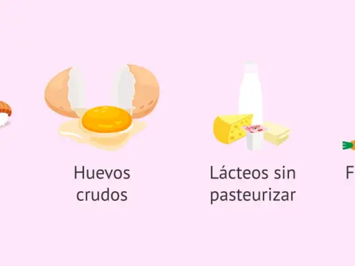 Alimentos que no puede comer una embarazada: pescado crudo, huevos crudos, lácteos sin pasteurizar y fruta/verdura sin lavar.