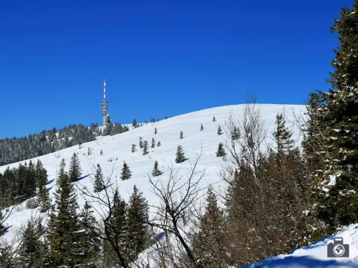 Feldberg: Deutschlands höchster Berg (1.493m) Tipps & Aktivitäten
