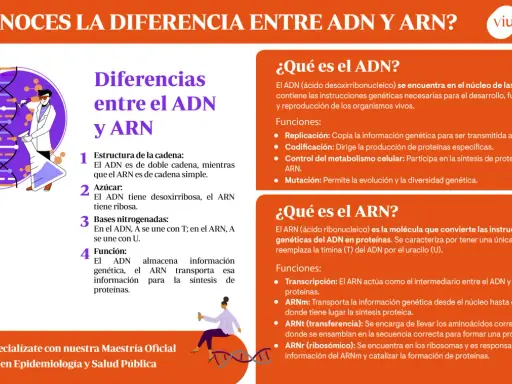 Ilustración comparativa de la adn y arn estructura, mostrando científicos y moléculas.