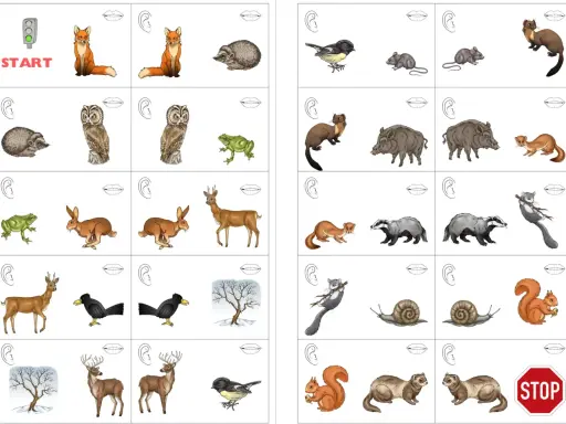 Waldtiere Vorlage zum Ausdrucken: Füchse, Igel, Eulen, Frösche, Hasen, Rehe, Wildschweine, Marder, Dachse, Eichhörnchen, Schnecken, Mäuse, Vögel, Hirsche, Bäume im Schnee.