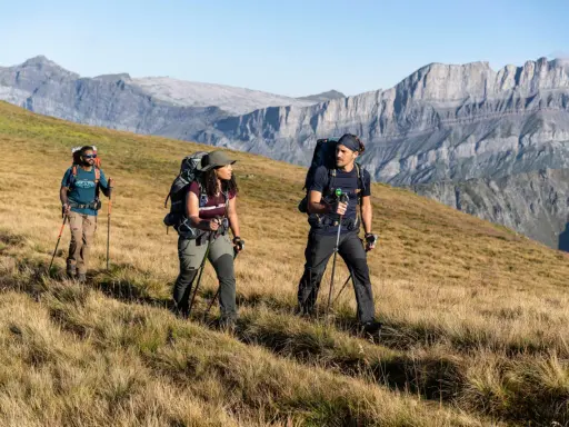 Trzy osoby z plecakami i kijkami trekkingowymi idące po trawiastym zboczu górskim.