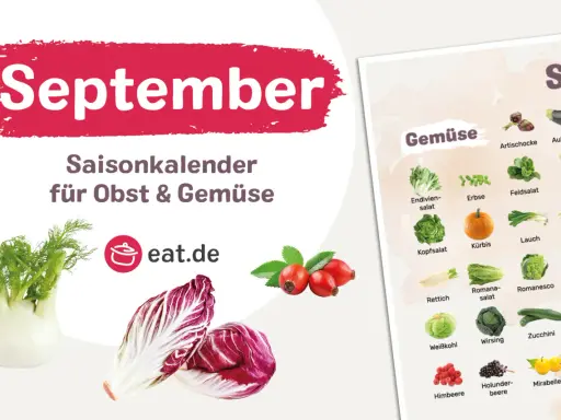 Saisonkalender September: Frisches Gemüse wie Kürbis, Lauch und Zucchini ist jetzt reif. Ideal für herzhafte Herbstgerichte.