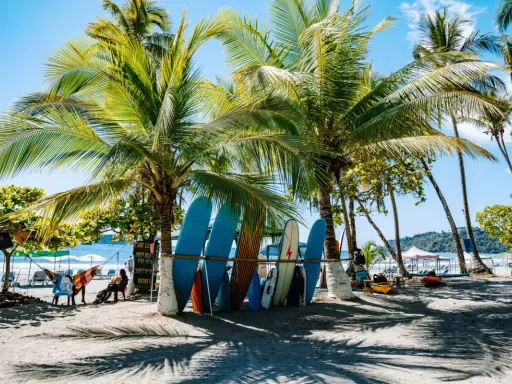 Palmy, deski surfingowe i plaża w Kostaryce.