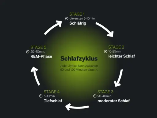 Schlafzyklus-Diagramm zeigt Stadien von leicht bis tief. Fehlender Tiefschlaf kann Ursache für Schlafstörungen sein.
