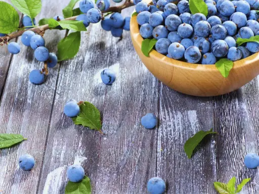 Frische Schlehen in einer Holzschale und auf rustikalem Holztisch, bereit für leckere Schlehen Rezepte.