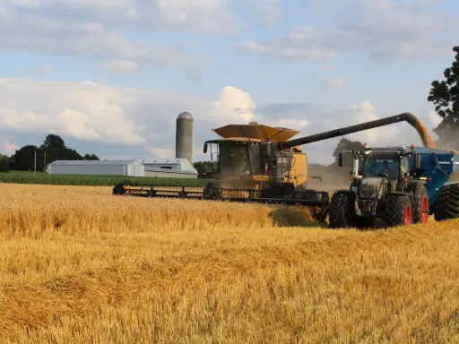 A combine harvests a golden wheat field, transferring grain to a tractor-pulled cart. This scene highlights harvest safety tips in action.