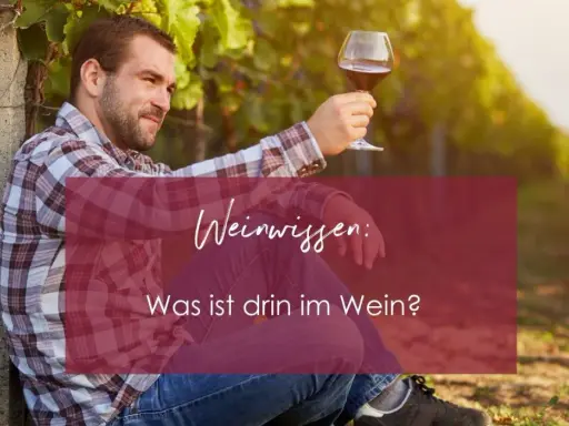 Mann im karierten Hemd hält Weinglas in Weinberg. Text: "Weinwissen: Was ist drin im Wein?" - die wichtigsten wein zutaten.