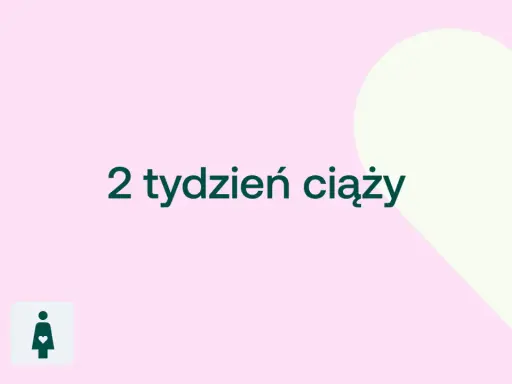2 tydzień ciąży. Malutkie serduszko zaczyna bić, a dziecko rośnie w brzuchu.