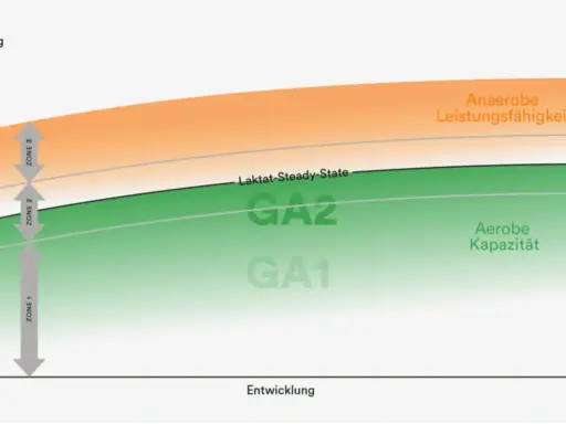 Diagramm zeigt Leistungszonen: GA1 (aerobe Kapazität), GA2 (Laktat-Steady-State) und anaerobe Leistungsfähigkeit. Zone 2 ist der Bereich zwischen GA1 und dem Laktat-Steady-State.