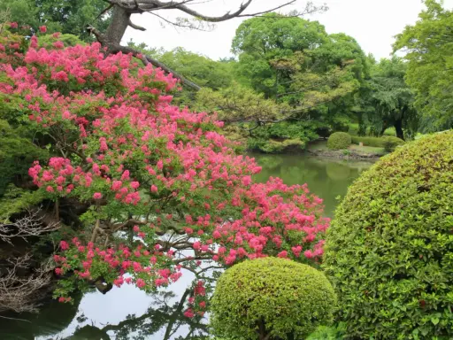 Magnifique lilas des Indes en pleine exposition, ses fleurs roses éclatantes se reflétant dans l'eau paisible d'un étang, entouré d'une végétation luxuriante.