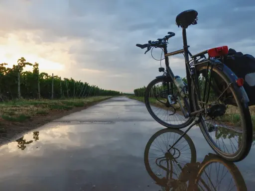 Fahrrad mit Rohloff-Schaltung am Abend. Die Nachteile der Rohloff-Schaltung sind bei dieser Tour durch Weinberge nicht ersichtlich.