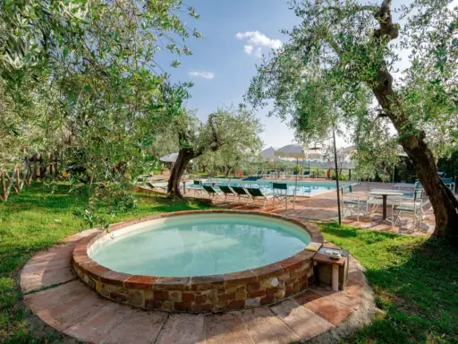 Un angolo di paradiso per dormire in fattoria con bambini: una piccola piscina circondata da ulivi, con una più grande sullo sfondo.