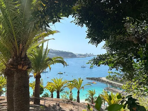 Palmeras en primer plano, vista de una bahía azul con barcos y una playa, ideal para unas vacaciones con niños en la playa.