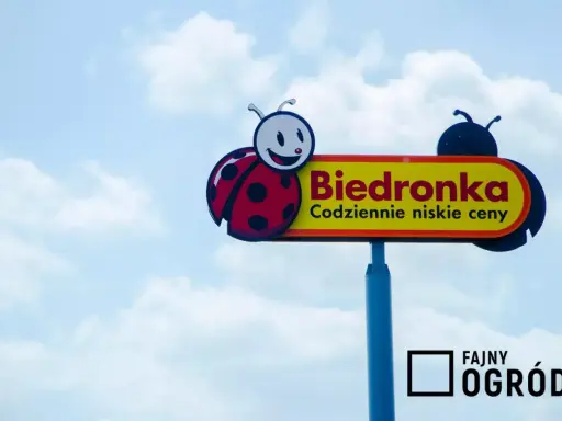 Kinder Niespodzianka w Biedronce: Cena, promocje i triki na oszczędności