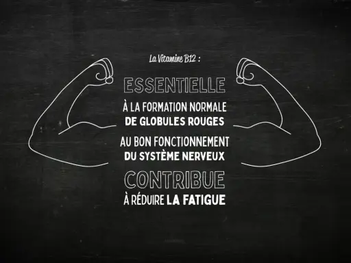 La vitamine B12, essentielle pour les globules rouges et le système nerveux, contribue à réduire la fatigue. Un effet immédiat pour plus d'énergie !