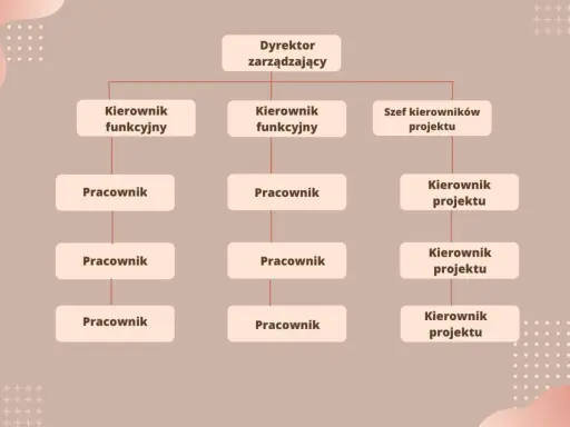 Schemat przedstawia strukturę organizacyjną firmy: Dyrektor zarządzający, kierownicy funkcyjni i projektowi oraz pracownicy.