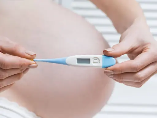 Mani di donna incinta tengono un termometro digitale. Monitorare la temperatura è importante per escludere la febbre in gravidanza.