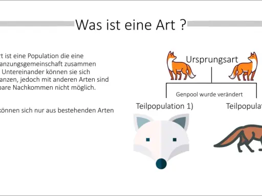 Illustration zur Artbildung in der Biologie: Ursprungsart teilt sich, Genpool verändert sich, neue Teilpopulationen entstehen.