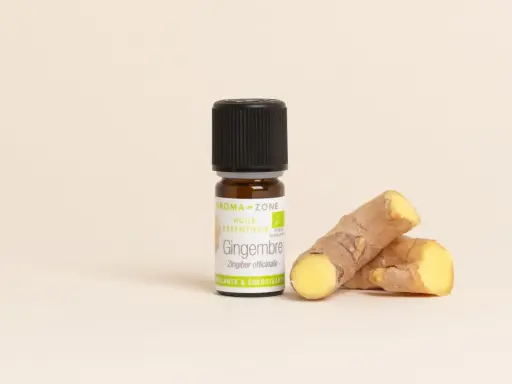 Flacon d'huile essentielle de gingembre bio, aux côtés de morceaux de rhizomes frais. Un concentré de vitalité.