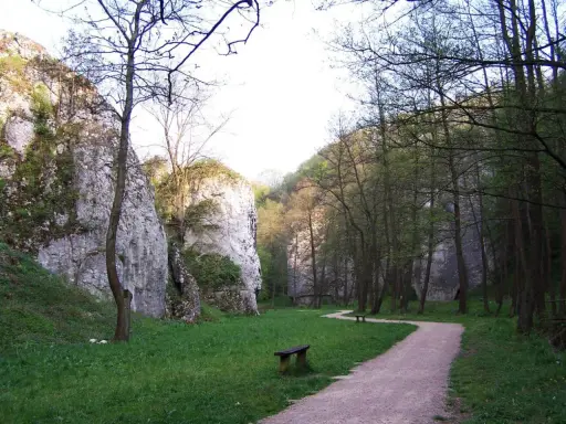 Ścieżka w Dolinie Mnikowskiej prowadzi przez zieloną łąkę, otoczoną skalnymi ścianami i drzewami.