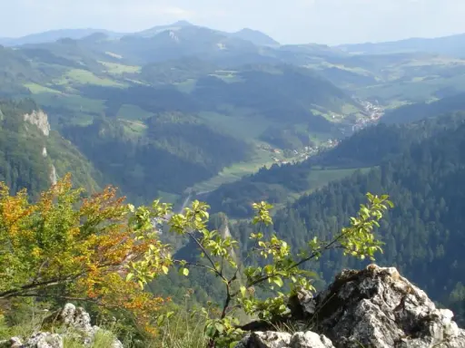 Widok z góry na dolinę Pienin, gdzie widać lasy, pola i małą wieś. W oddali góry, a na pierwszym planie gałęzie drzew i skały. Sokolicę widać w oddali.
