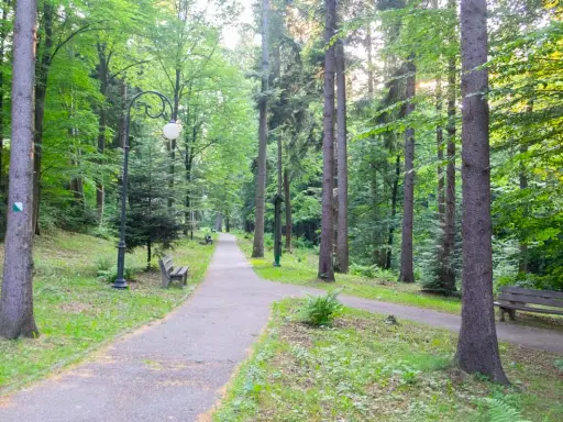 Ścieżki w Polańczyku prowadzą przez gęsty, zielony las. Ławki zapraszają do odpoczynku, a latarnie oświetlają drogę.