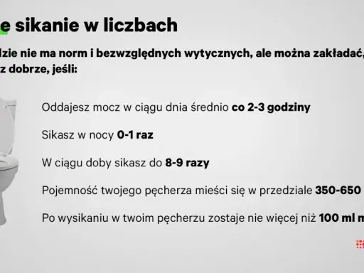 Ile razy dziennie powinno się sikać? W ciągu dnia średnio co 2-3 godziny, w nocy 0-1 raz. W sumie do 8-9 razy na dobę.