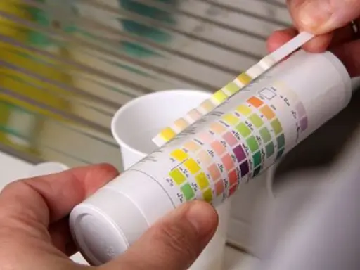 Bandelette réactive pour la mesure de dureté de l'eau, comparée à un tableau de couleurs.