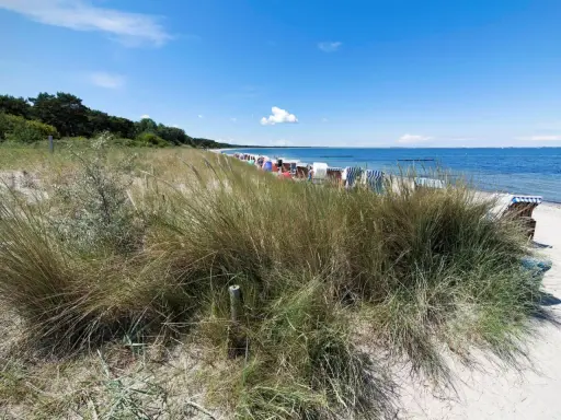 Strandgras und Strandkörbe am Meer. Ein ruhiger Ostsee Geheimtipp mit blauem Himmel und sanften Wellen.
