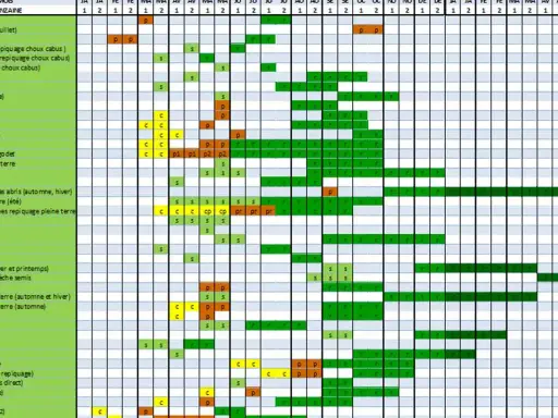 Calendrier d'association de plantes pour le potager : semis, repiquage et récolte des légumes sur l'année.