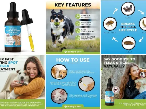 Une femme câline son chien, avec une bouteille de traitement anti puces naturel. Le produit est facile à appliquer et efficace.