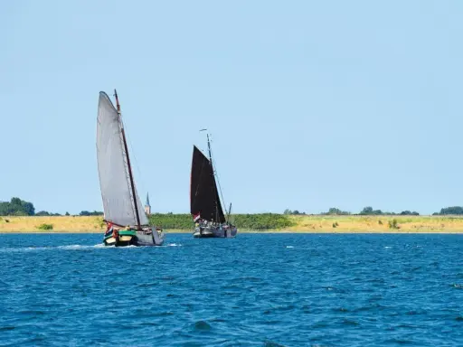 Zwei Segelschiffe auf dem Wasser, ein klassisches Erlebnis beim Segeln in Zeeland.