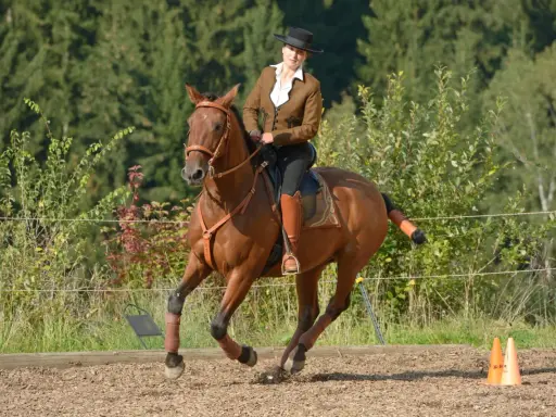 Reiterin in brauner Reitjacke und Hut auf einem braunen Pferd, das im Trab über den Reitplatz galoppiert. Ein ruhiges Bein beim Reiten ist zu sehen.
