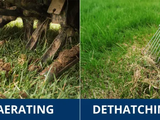 Left side shows aerating a lawn. Right side shows a rake removing thatch, which is a layer of dead grass and debris.