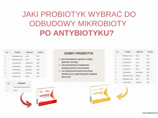 Wybór probiotyk po antybiotyku jest kluczowy. Na zdjęciu widzimy propozycje produktów Sanprobi, które pomagają odbudować mikrobiotę.