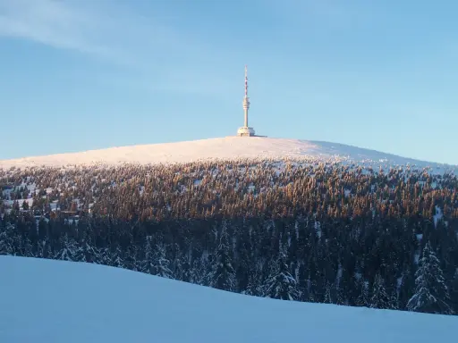 Wieża na ośnieżonym szczycie góry, otoczona lasem iglastym.