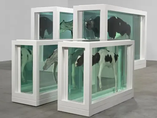Vacas y terneros en tanques, una madre y su cría divididas por el arte.