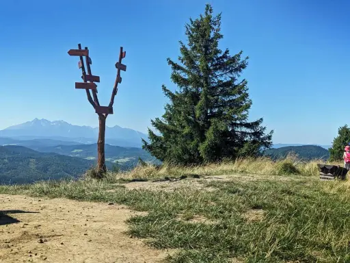 Wysoki wierch z drogowskazem i widokiem na góry. Rodzina z plecakami podziwia panoramę.