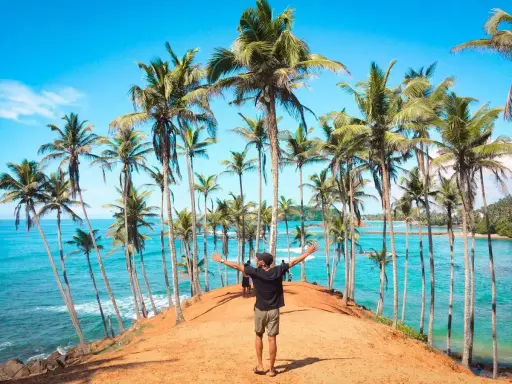 Człowiek z rozłożonymi rękami na tle palm i turkusowego oceanu. Marzysz o podróży? Sri Lanka ile trwa lot, warto sprawdzić!
