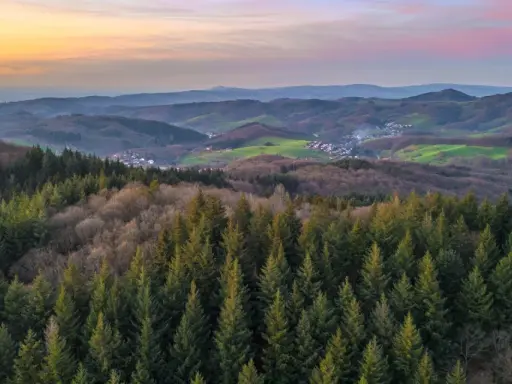 Blick über den Odenwald mit Nadelwald im Vordergrund und sanften Hügeln, grünen Wiesen und einem Dorf im Tal. Perfekt für Odenwald wandern.