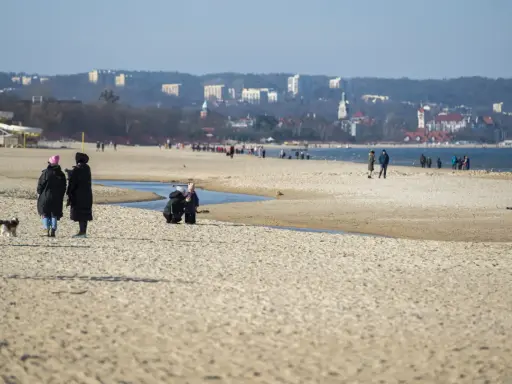 Spacerem po piaszczystej plaży w Jelitkowie, z widokiem na morze i miasto w tle. Ludzie spacerują, bawią się z psem.