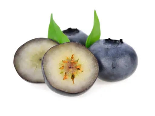 Frische Heidelbeeren, auch Blaubeeren genannt, mit grünen Blättern. Eine Blaubeere ist aufgeschnitten und zeigt ihr Inneres.