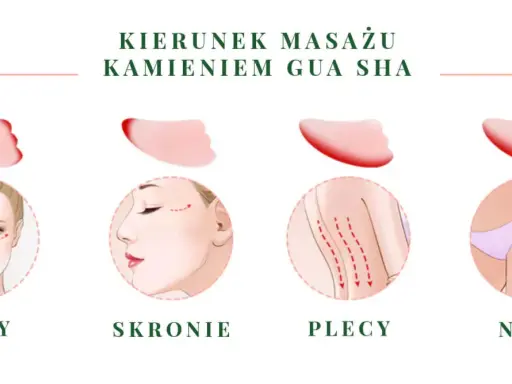 Ilustracja pokazuje kierunki masażu kamieniem gua sha na oczy, skronie, plecy i nogi.
