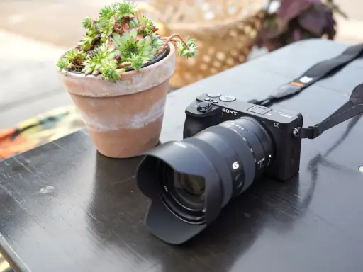 Cámara Sony a6600 con lente y suculenta en maceta sobre mesa de madera.