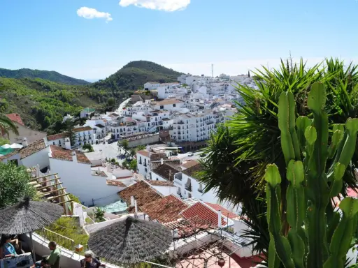 Vista panorámica de pueblos blancos andaluces, típicos de la costa, con montañas verdes al fondo. Un cactus gigante y palmeras en primer plano.