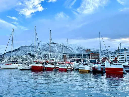 Segelboote und Fischerboote liegen im **Tromsø Hafen** vor schneebedeckten Bergen.